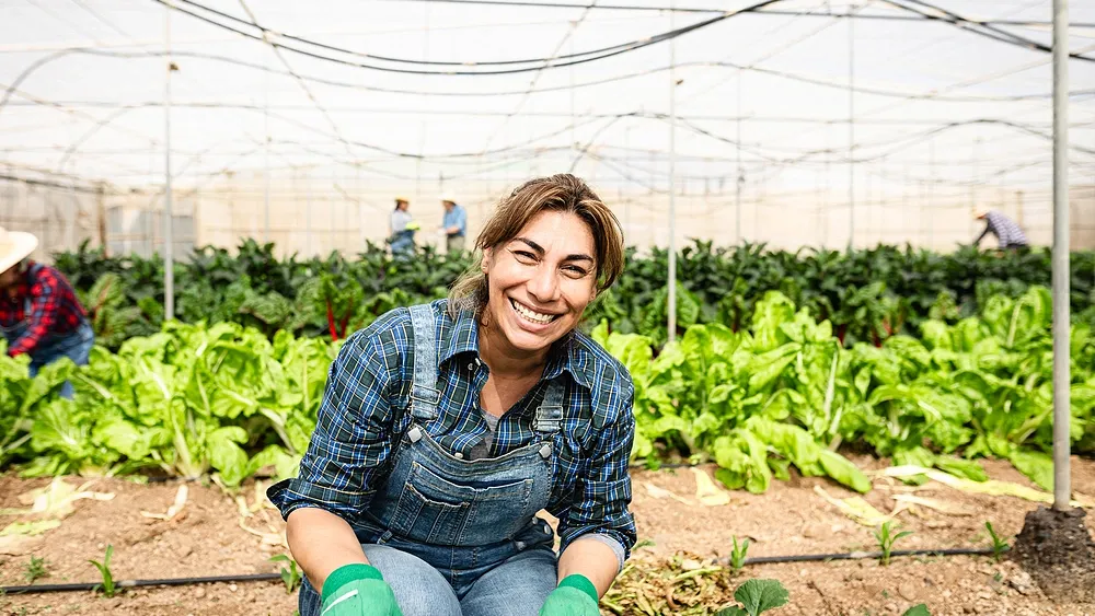 Farming in Dubai - A New Way of Living in the City of Dreams - Provident Estate