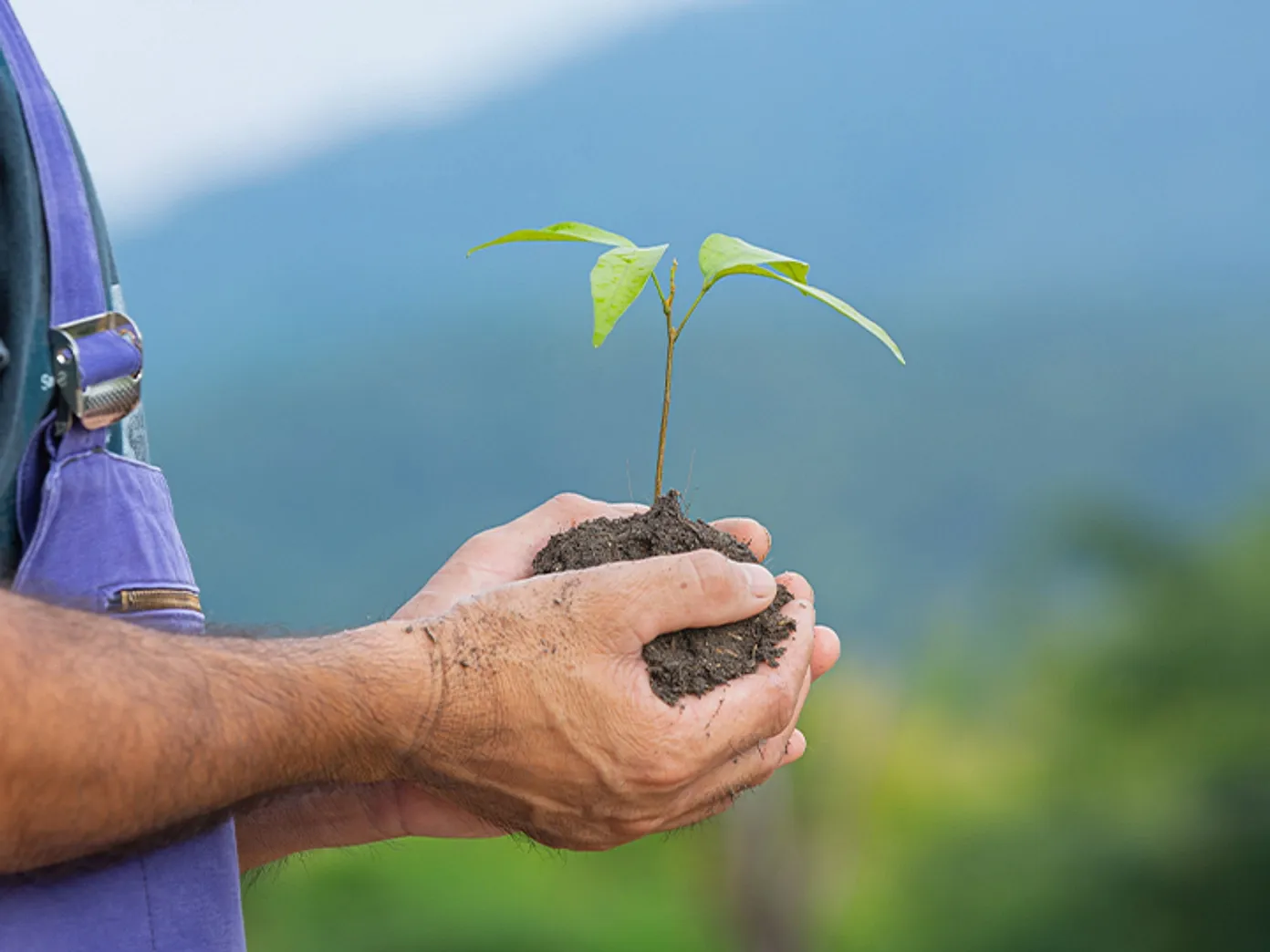 How It Works - Provident Estate