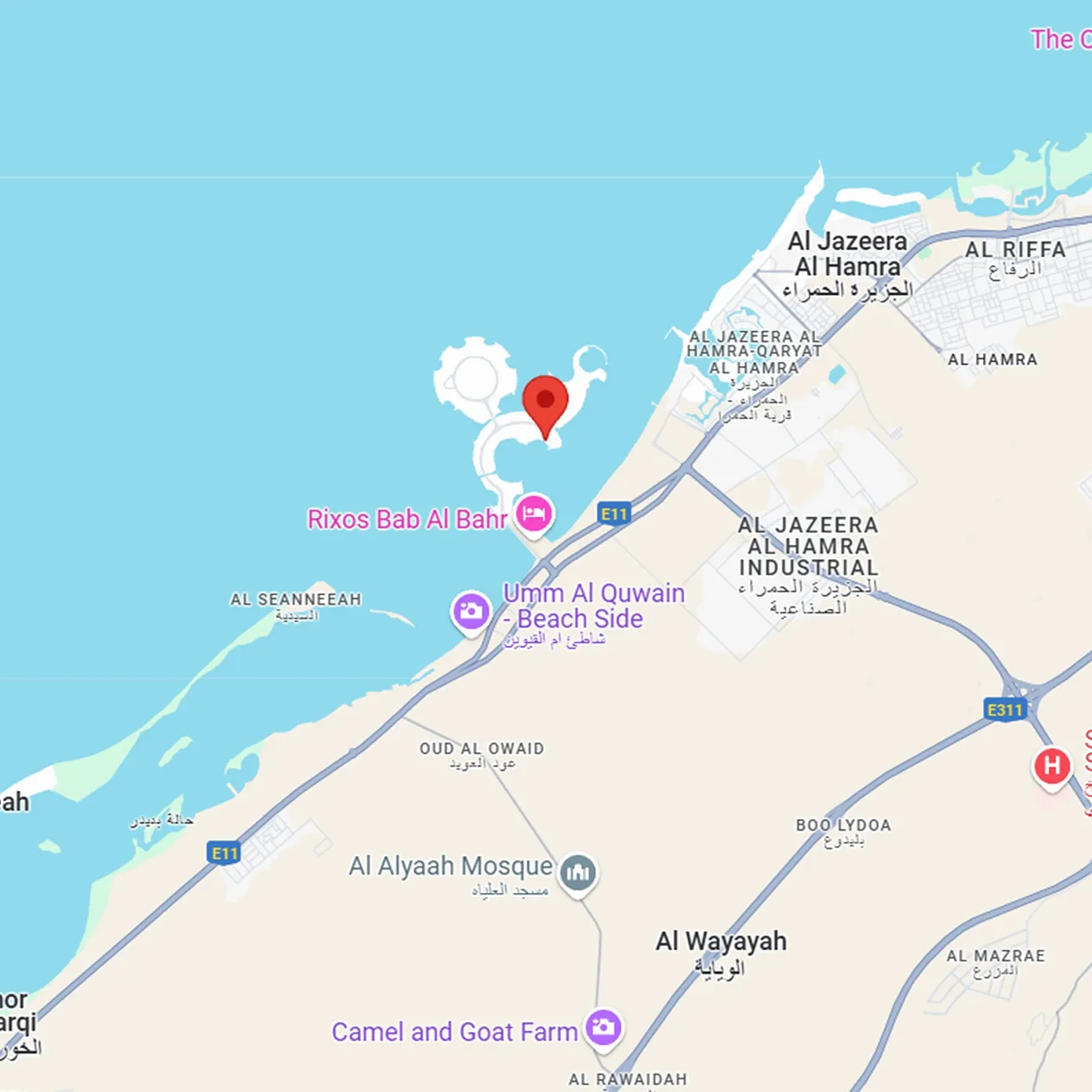 A Coveted Island Address with Seamless Mainland Connectivity - Provident Estate