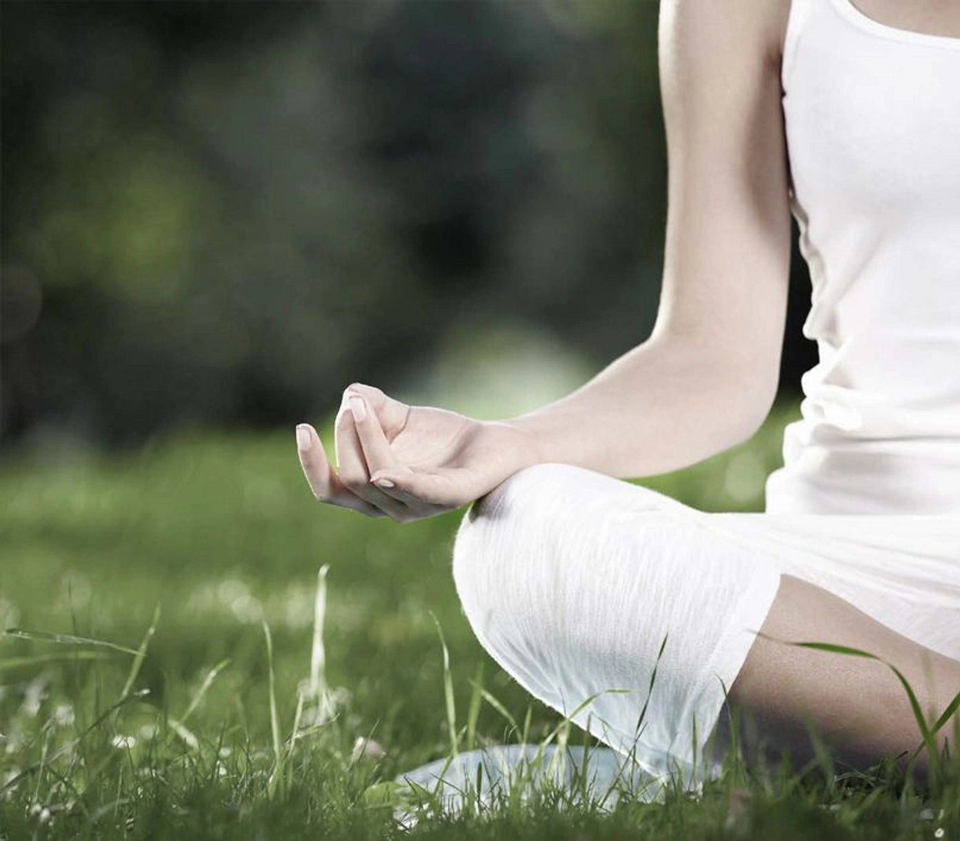 Living in Luxury Seamlessly - Provident Estate