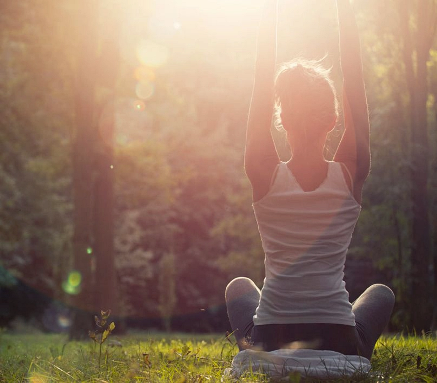 Price Starting From AED 1.6M to 2.1M - Provident Estate