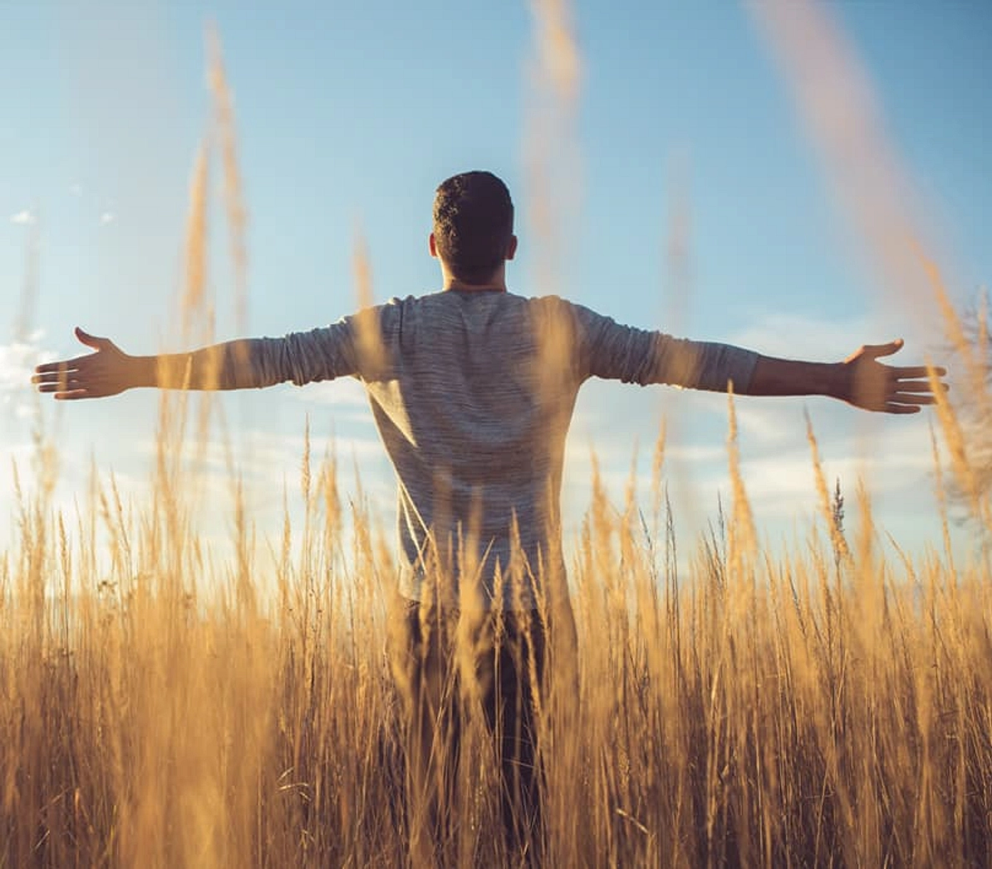 Wide Green Open Spaces And Lush Landscapes - Provident Estate