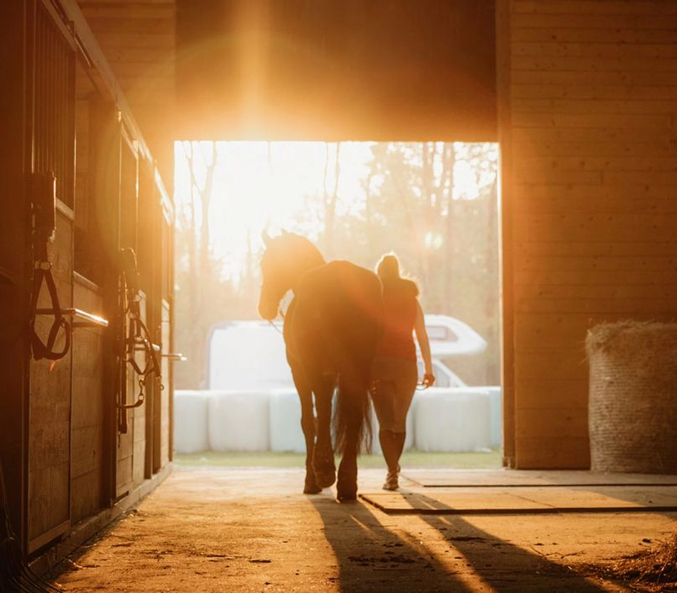 Exclusive Amenities and Facilities - Provident Estate