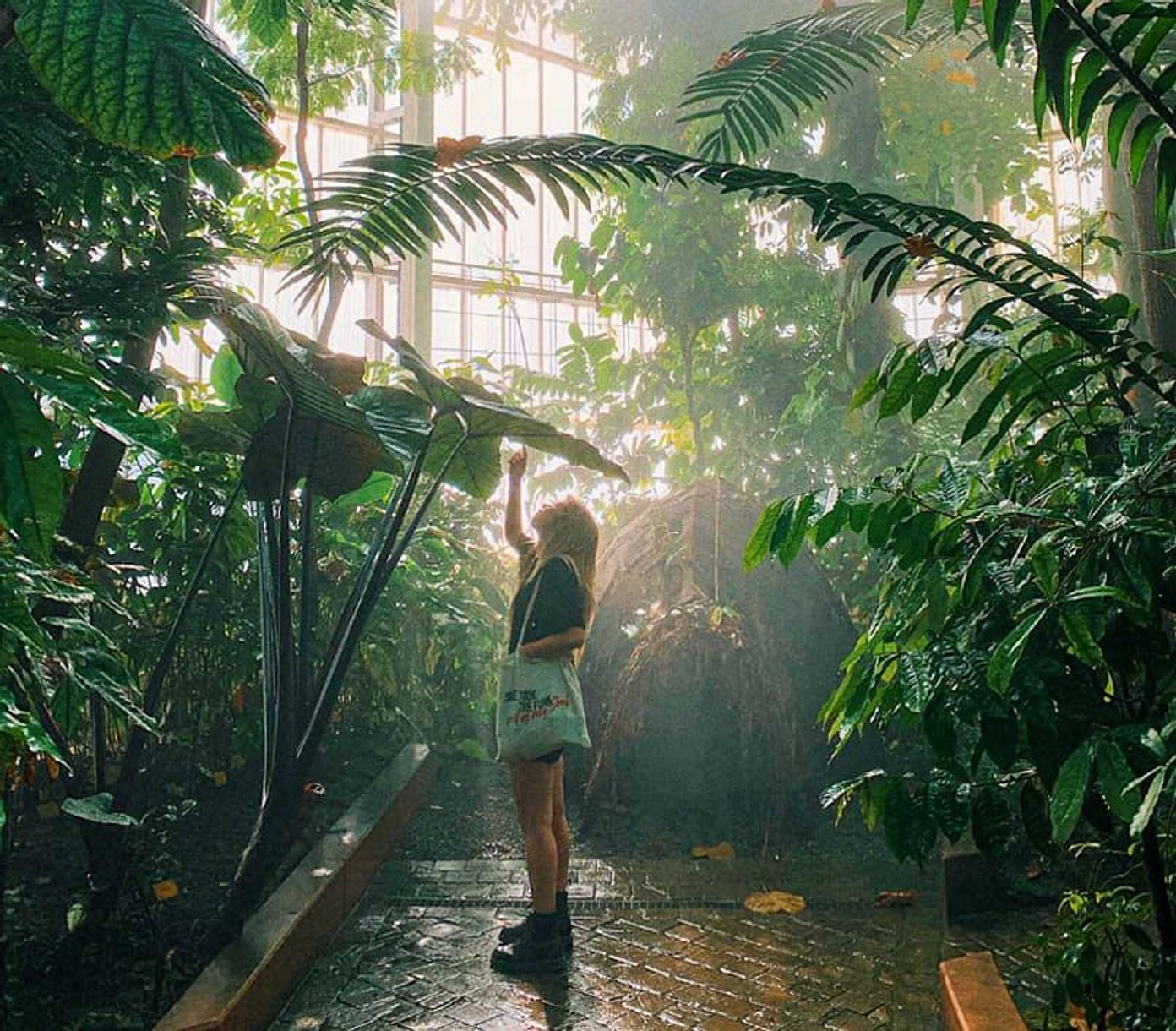 A tranquil hub for health and wellness - Provident Estate