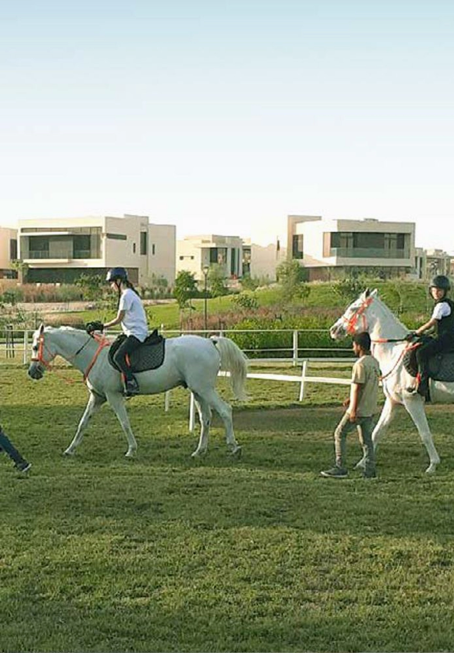 All Seasons - Damac Hills image 5 - Provident Estate