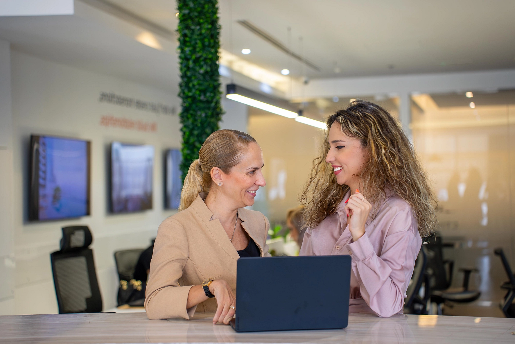 banner-bg - Provident Estate