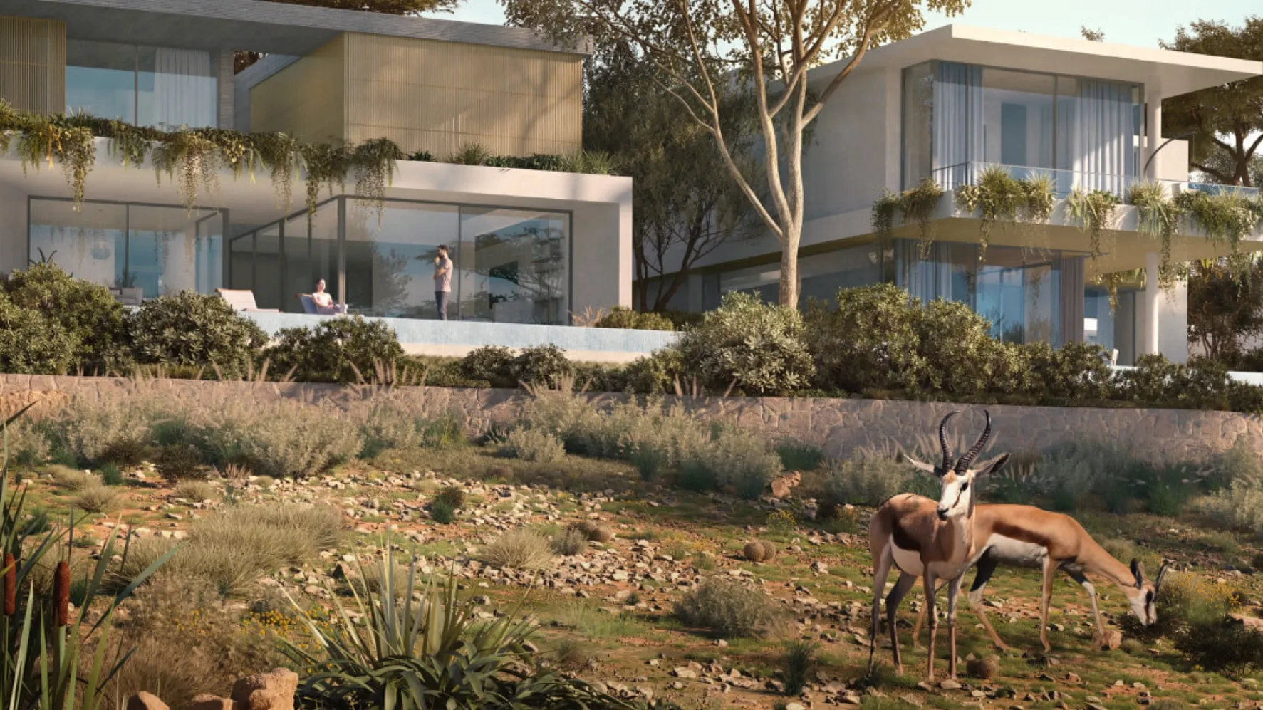 banner-bg - Provident Estate