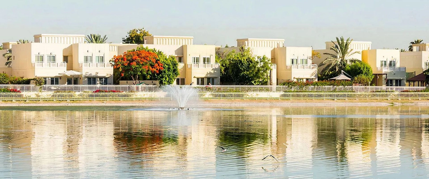 banner-bg - Provident Estate