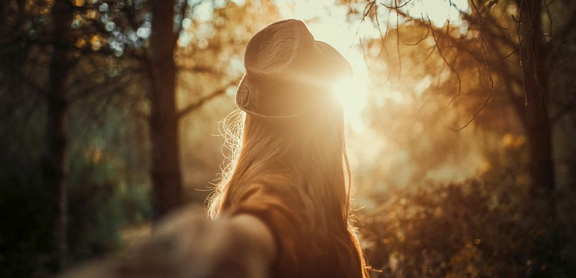 banner-video - Provident Estate