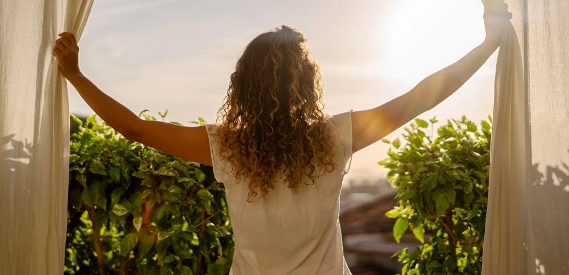 banner-video - Provident Estate