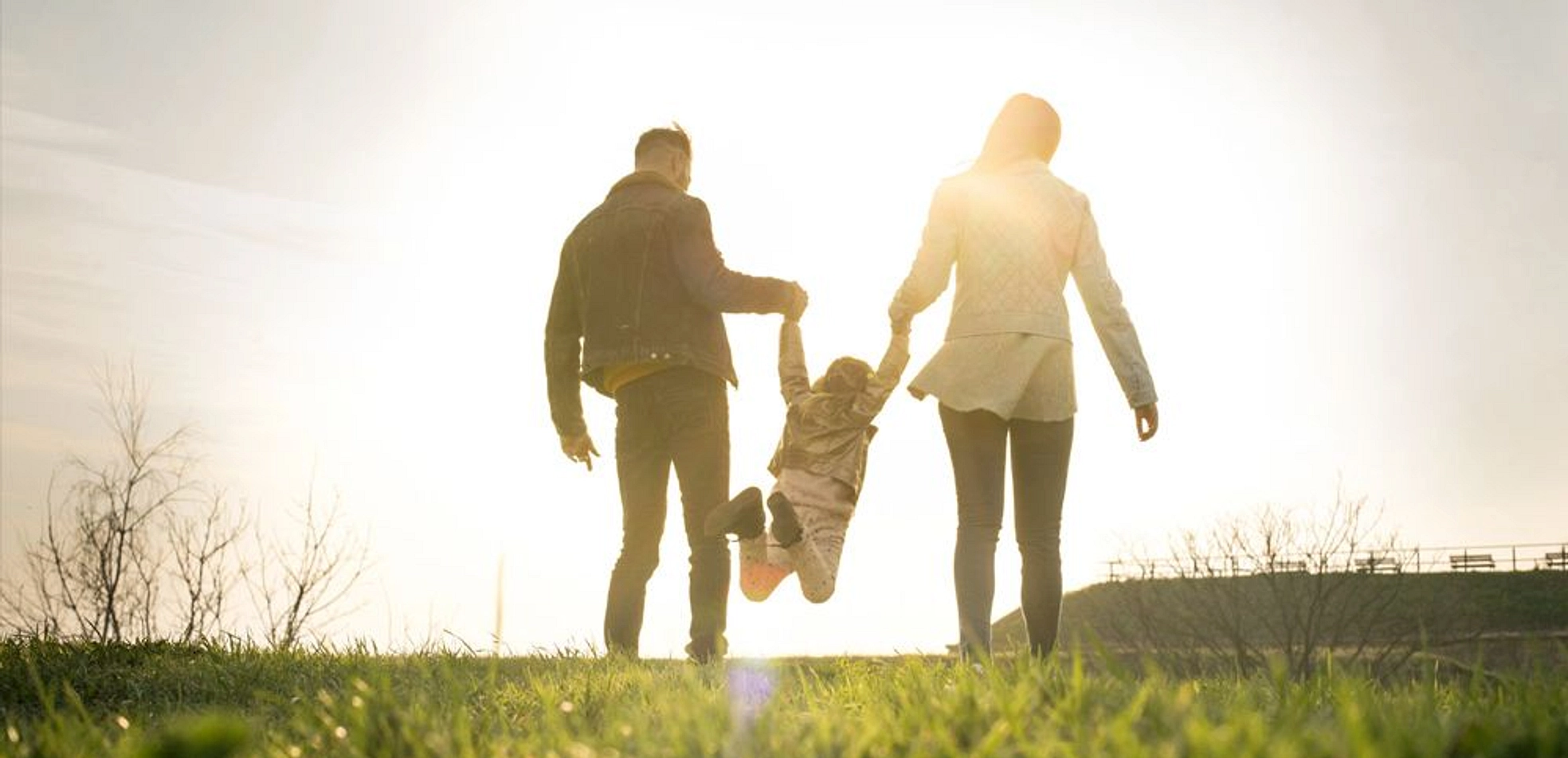 banner-video - Provident Estate