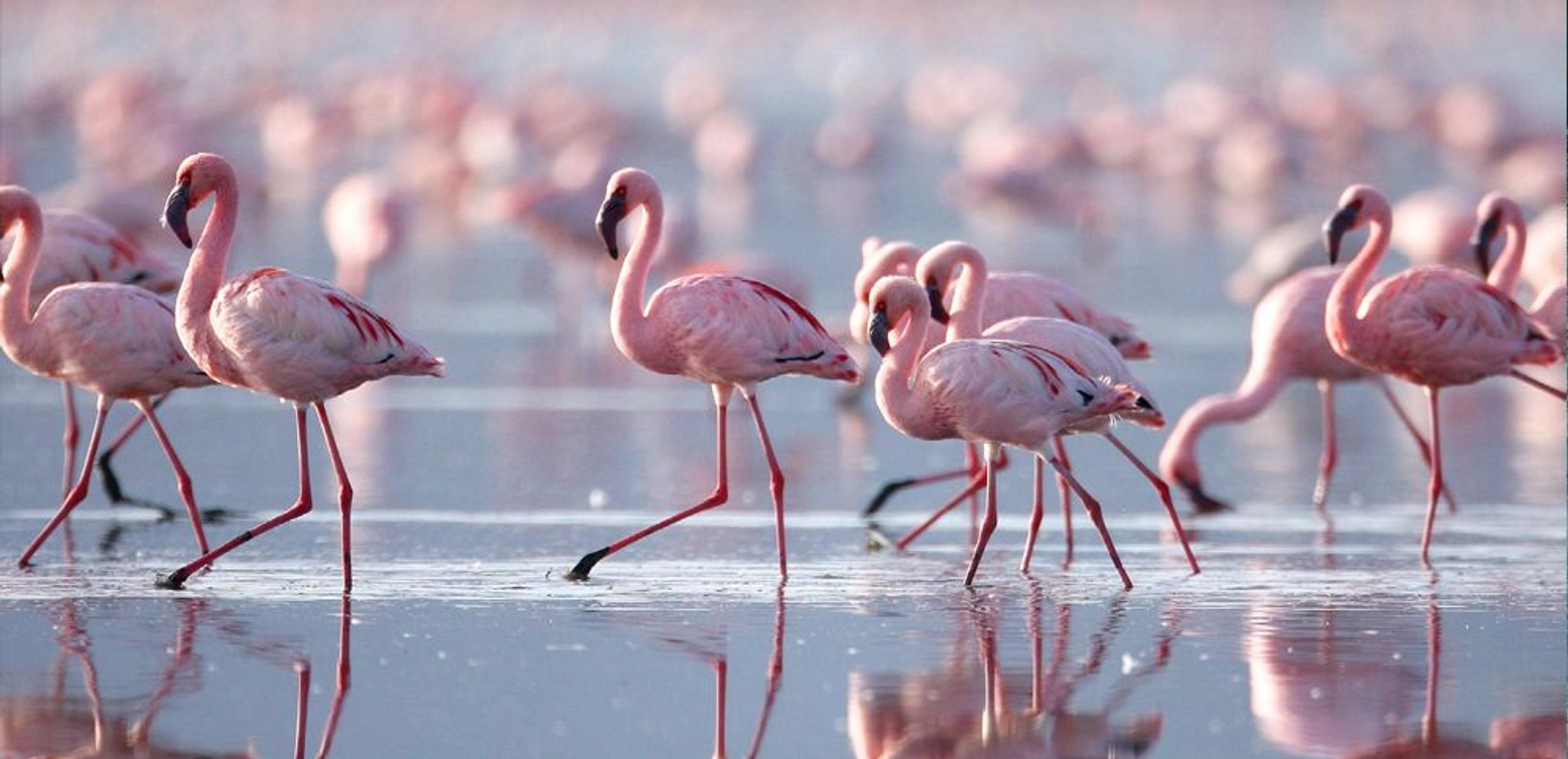 banner-video - Provident Estate