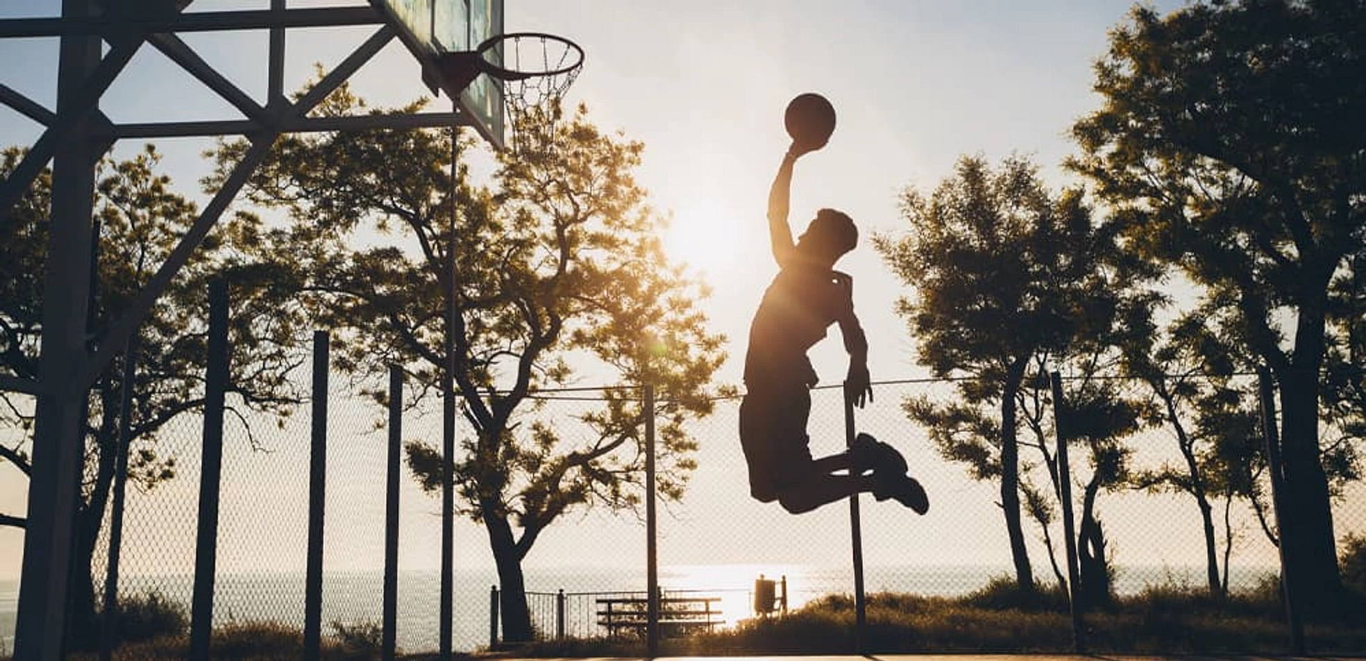 banner-video - Provident Estate