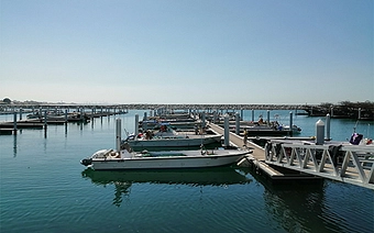 developer-Umm Al Quwain Marina-image - Provident Estate