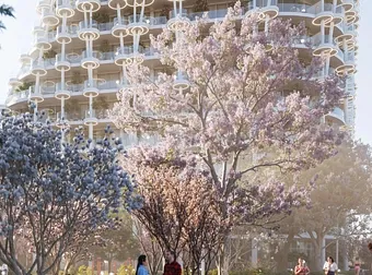 apartment, studio, townhouse