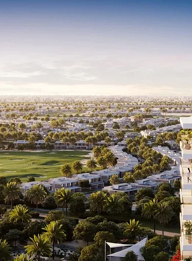 Club Drive - Provident Estate