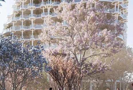 apartment, studio, townhouse