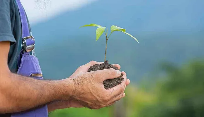 A Home for You, A Tree for the Planet - Provident Estate