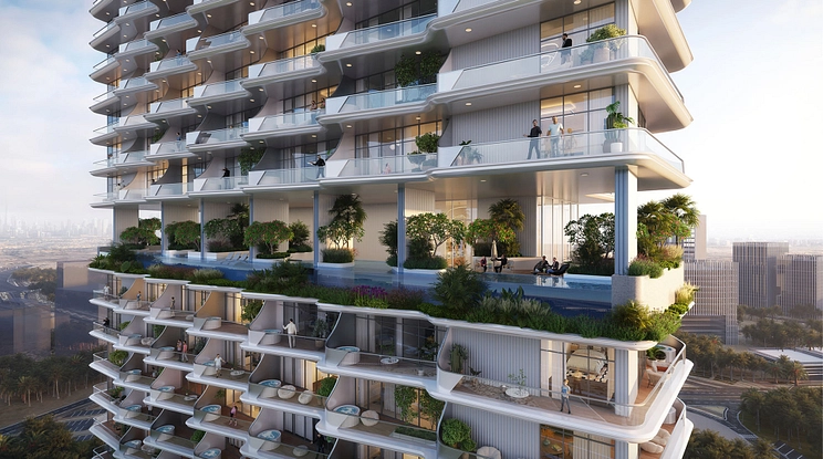 Cove - Provident Estate