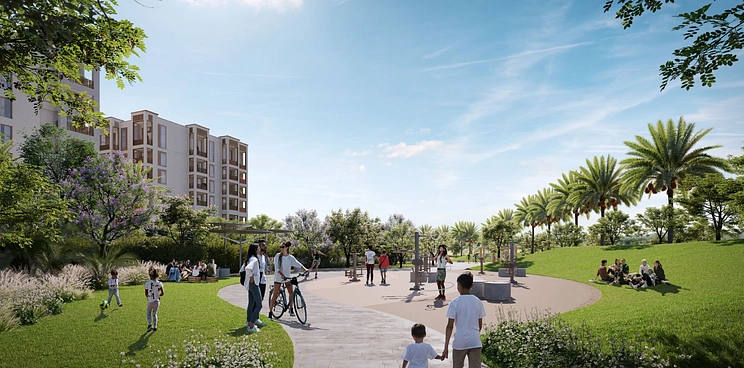 Mangrove Creek Beach - Provident Estate