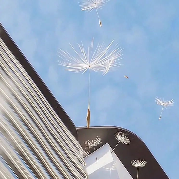 REEF 995 - Provident Estate