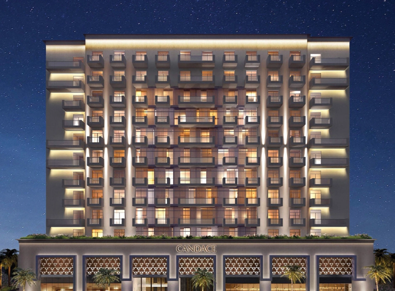 Candace Aster image 0 - Provident Estate